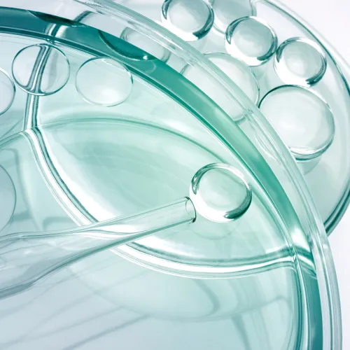 IlSaloneDiMilano ინგრედიენტი ამინომჟავა