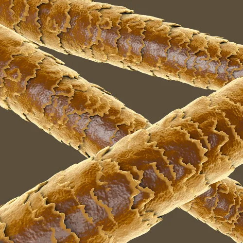 ილსალონედიმილანოს ინგრედიენტი Keratin