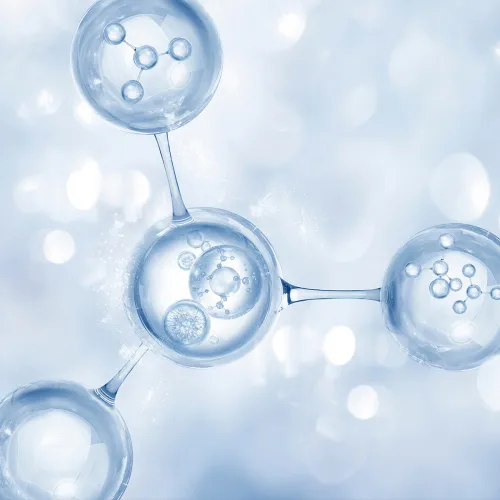 IlSaloneDiMilano ინგრედიენტი პრობიოტიკი