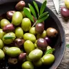 IlSaloneDiMilano ინგრედიენტი ზეითუნის ზეთი