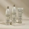 Glorious Products-ის ჯგუფური გადაზიდვები